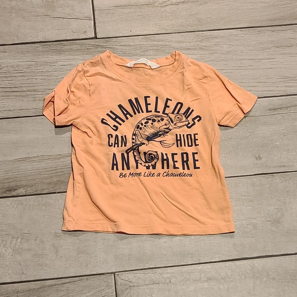 🍁H&M kids chameleon tee🍦